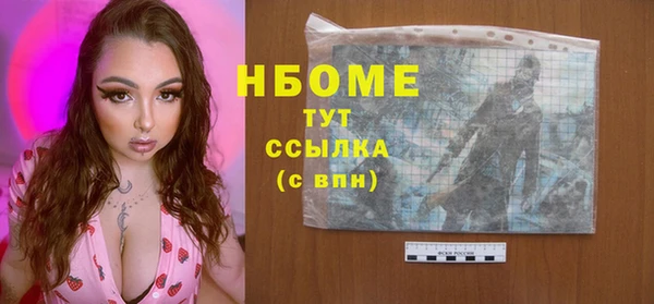 индика Горняк