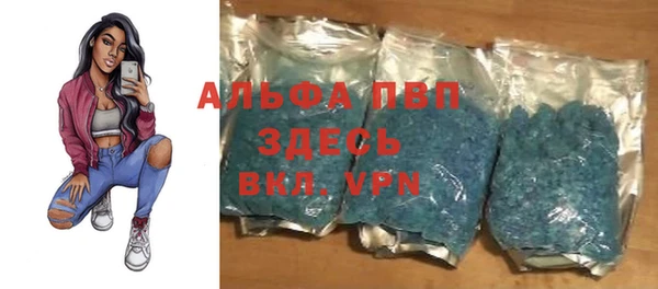 индика Горняк
