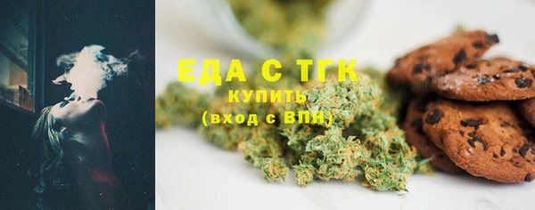 индика Горняк