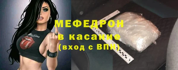 индика Горняк