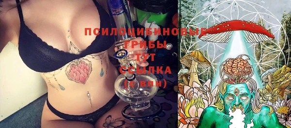 прущий лед Горно-Алтайск