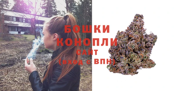 ешки Гусиноозёрск
