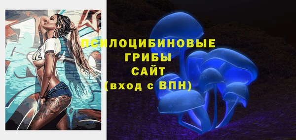 индика Горняк