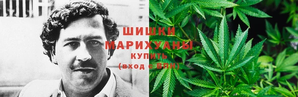 дурь Гусев
