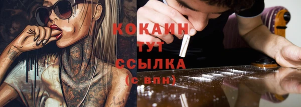 индика Горняк