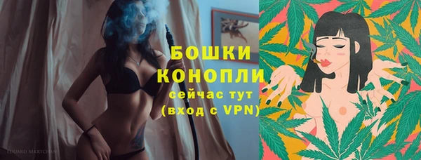 винт Гусь-Хрустальный