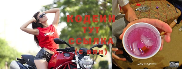 индика Горняк